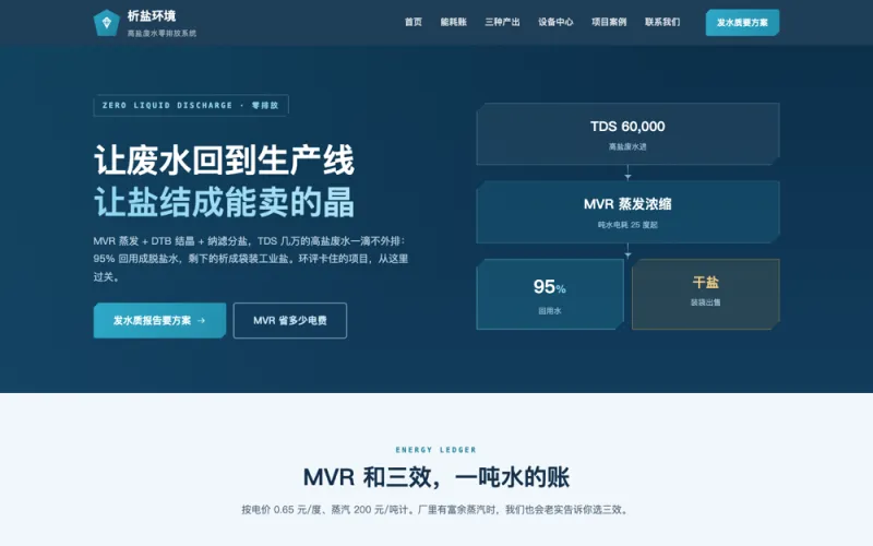 析盐环境 — 高盐废水零排放官网案例截图